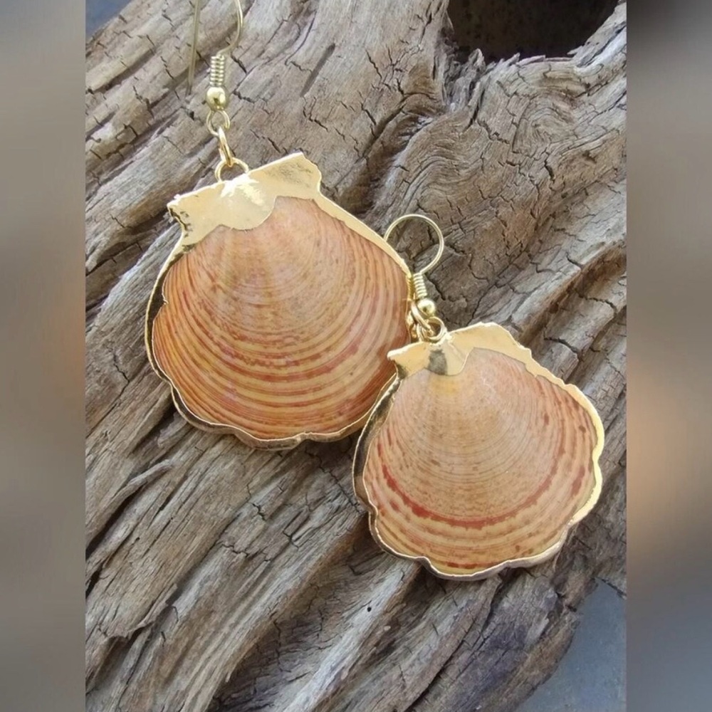 Scallop Seashell Earrings with Golden Dipped Edges
